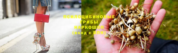 бошки Белокуриха