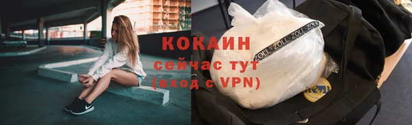 бошки Белокуриха