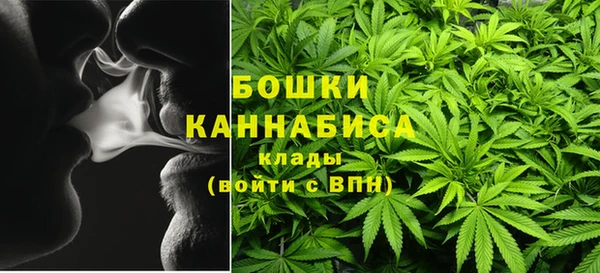 гидра Белая Холуница