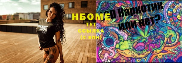 бошки Белокуриха