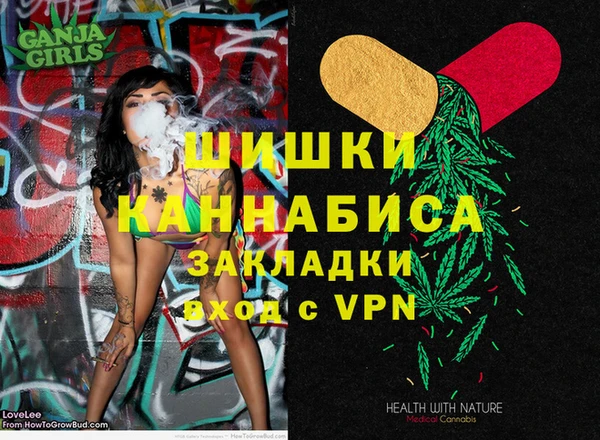 бошки Белокуриха