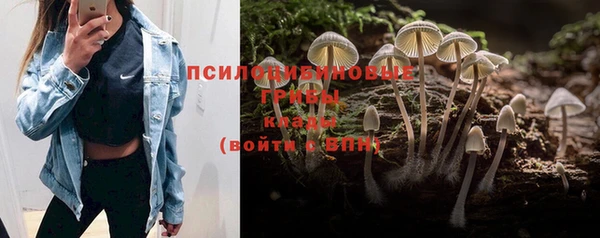 эйфоретик Беломорск