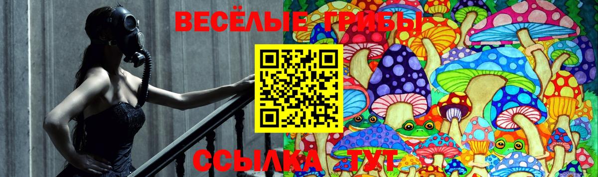 Псилоцибиновые грибы Psilocybe  Вход с VPN  Бугульма 