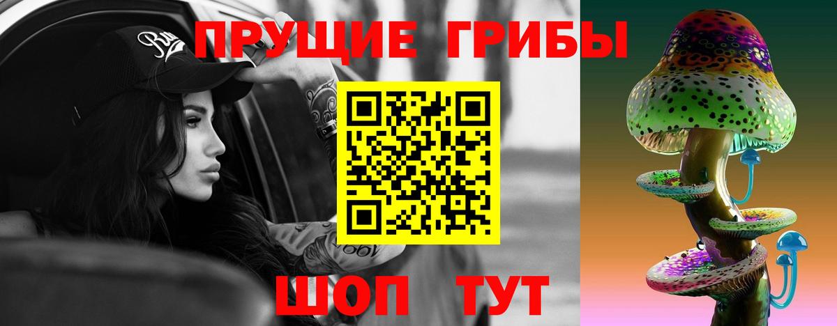 Псилоцибиновые грибы Cubensis Бугульма